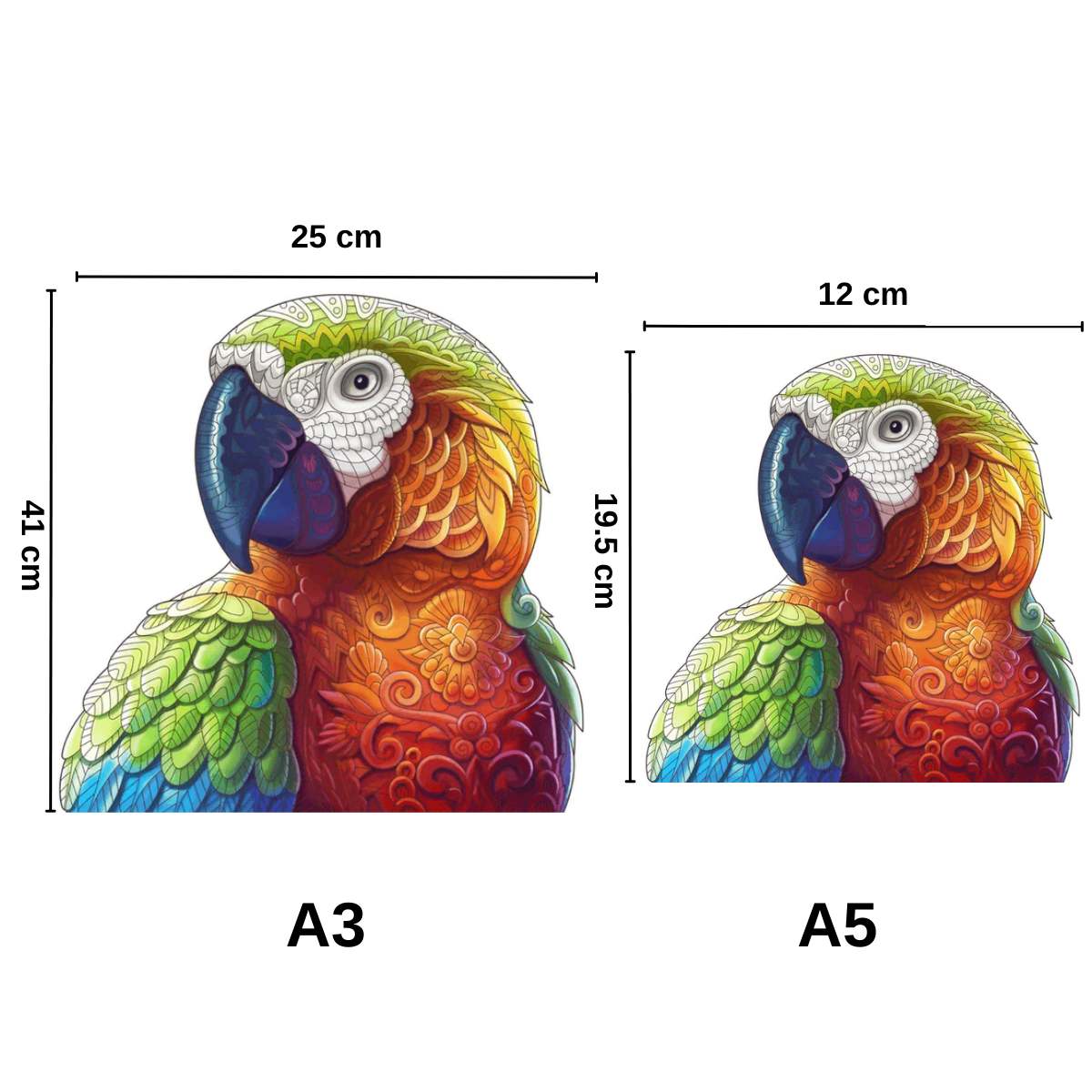 Pappagallo africano - Puzzle