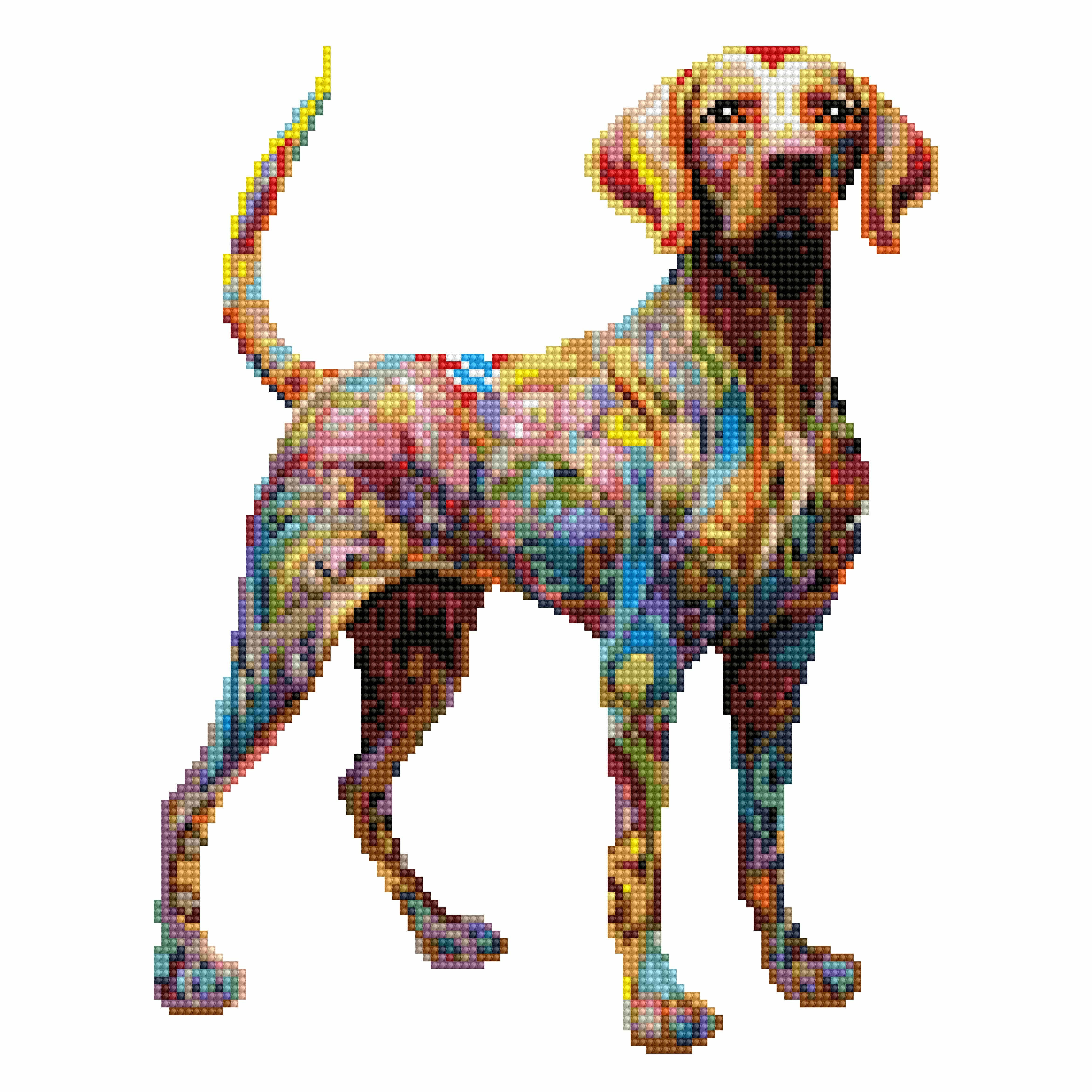 Cane Vizsla - Kit per pittura con diamanti