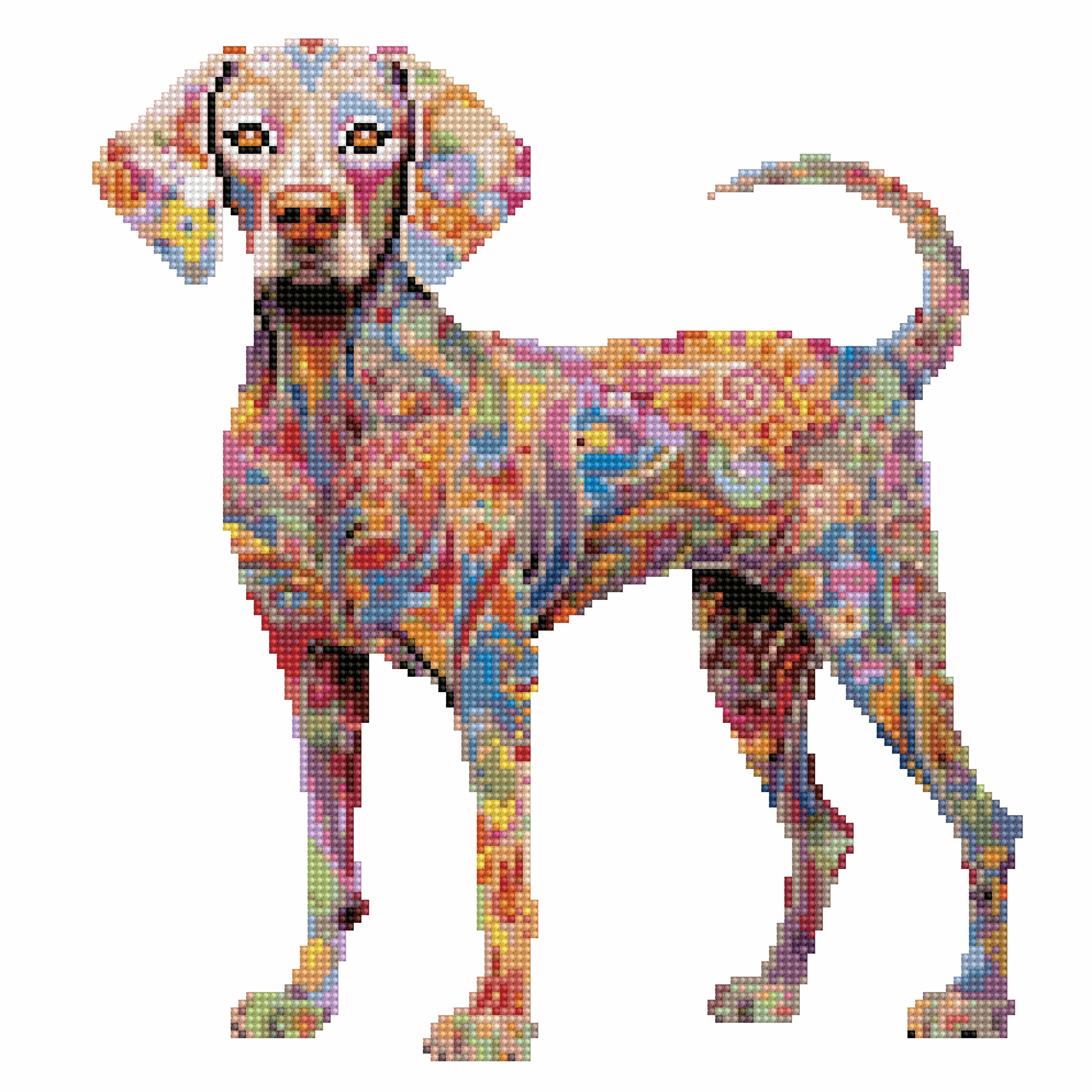 Cane Weimaraner - Kit per pittura con diamanti