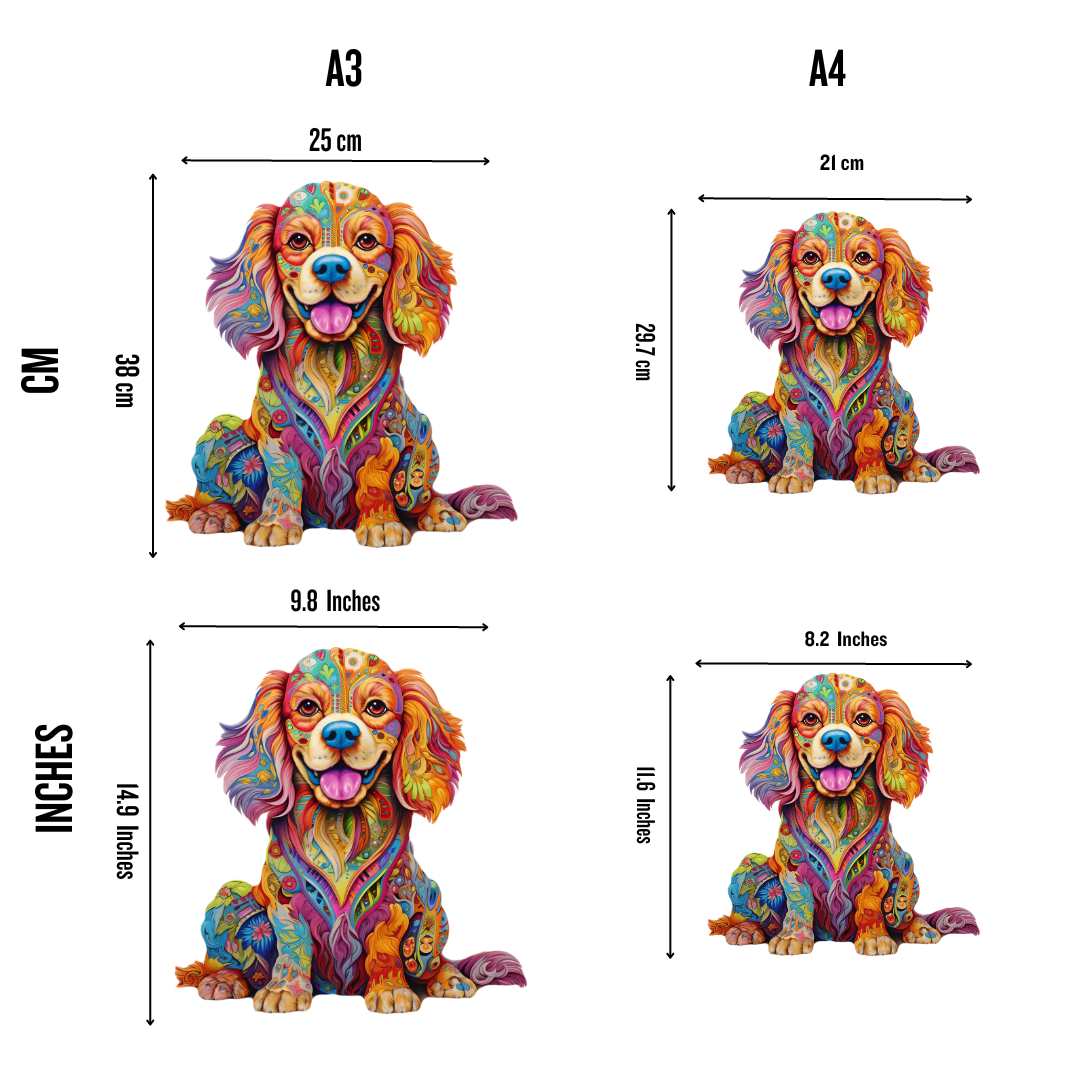 Cane Cavalier King Charles Spaniel - puzzle