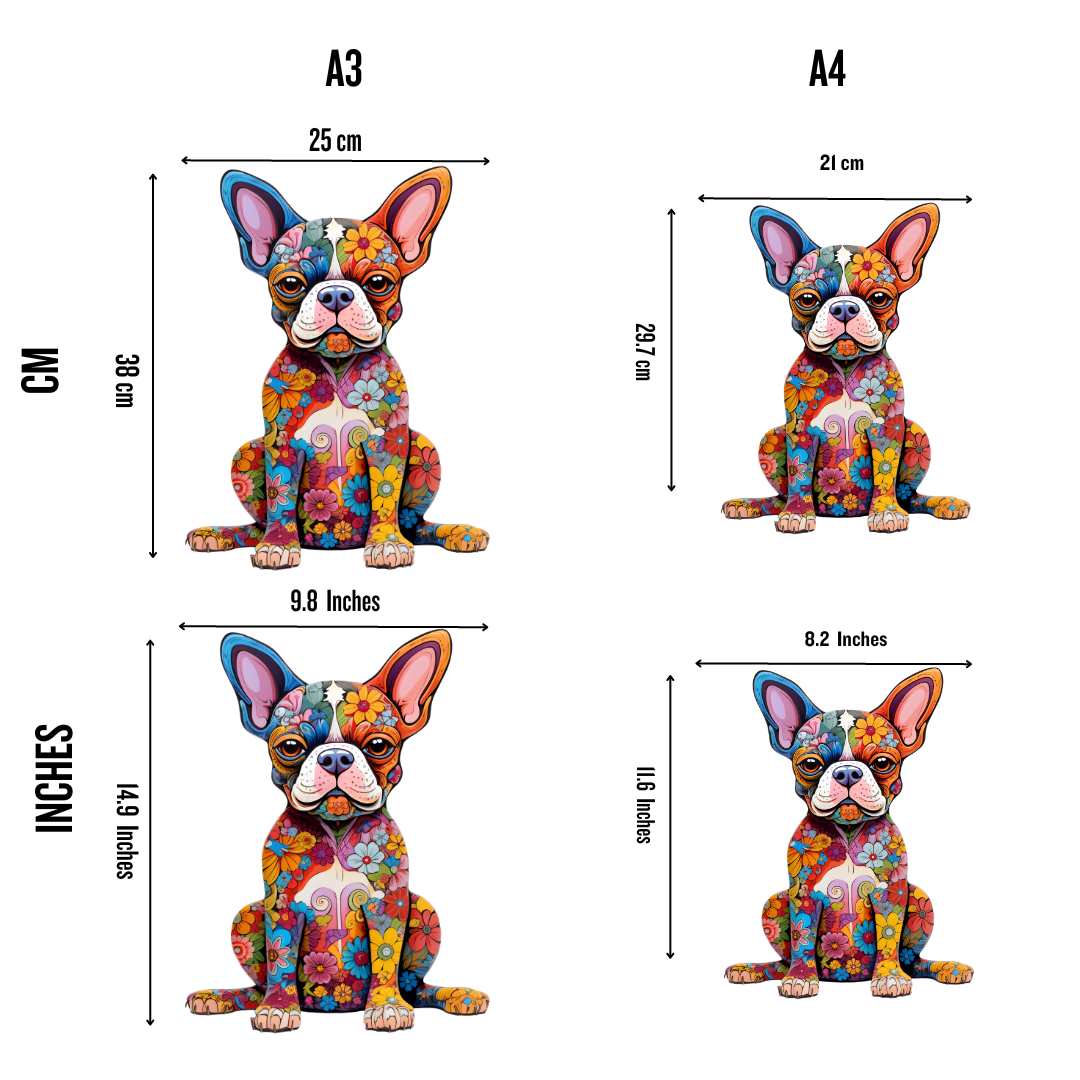 Cane Boston Terrier - Puzzle