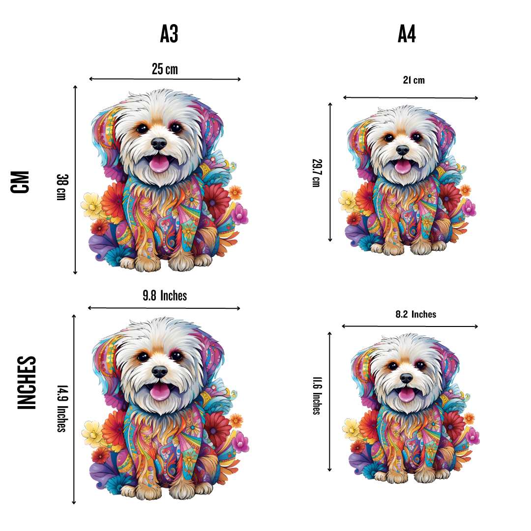 Cane maltese - puzzle